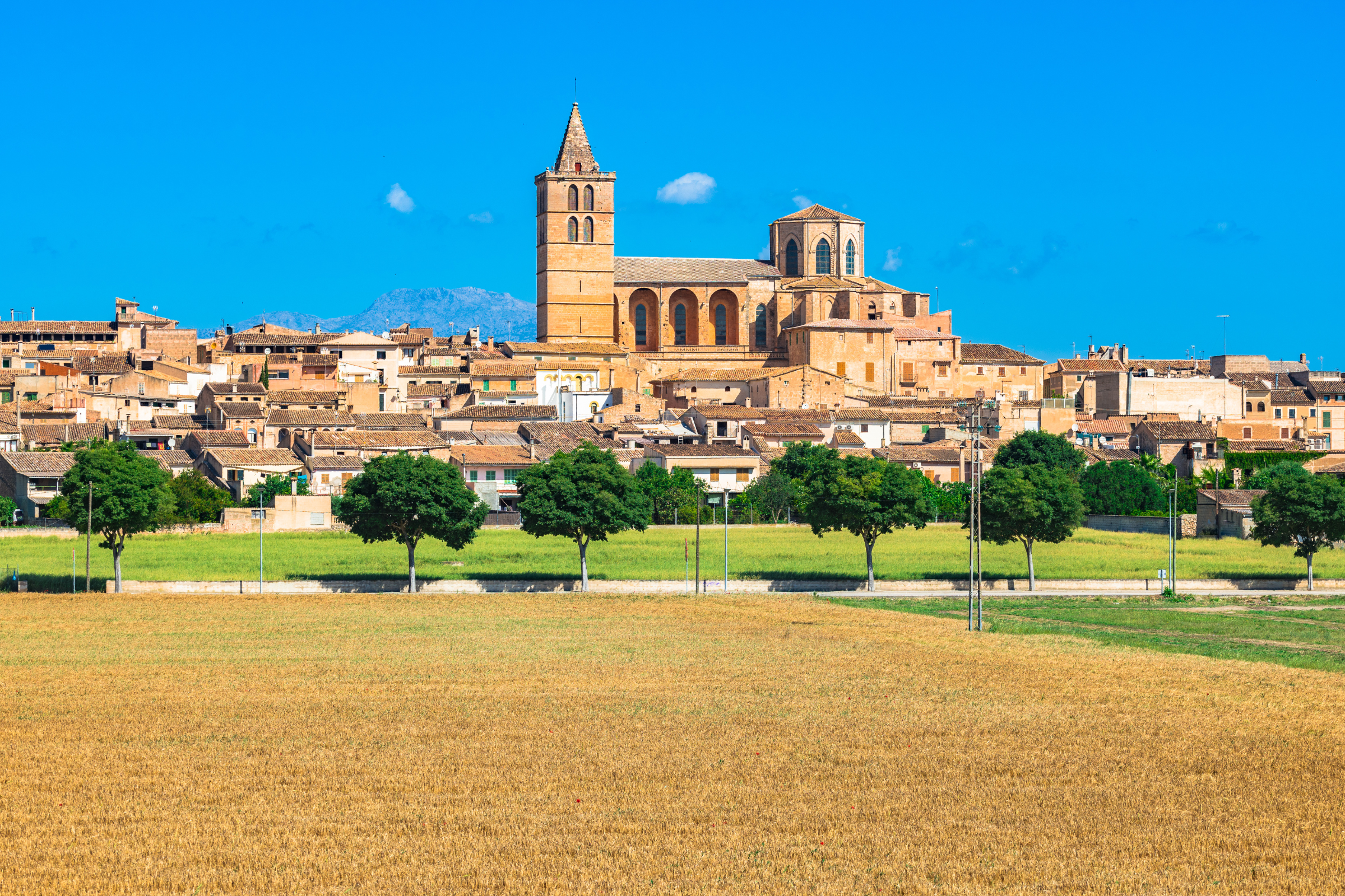 44_Sineu[1].webp